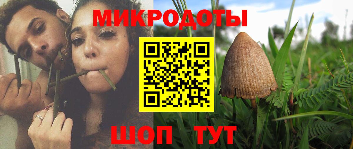 Галлюциногенные грибы Psilocybine cubensis Владикавказ