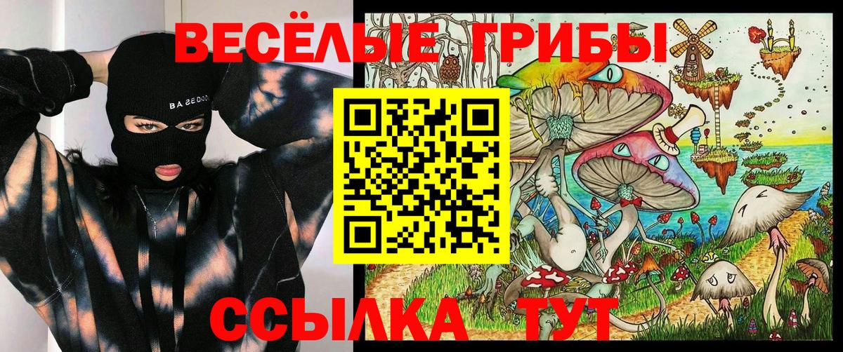 Галлюциногенные грибы прущие грибы  Вход с VPN  Владикавказ 